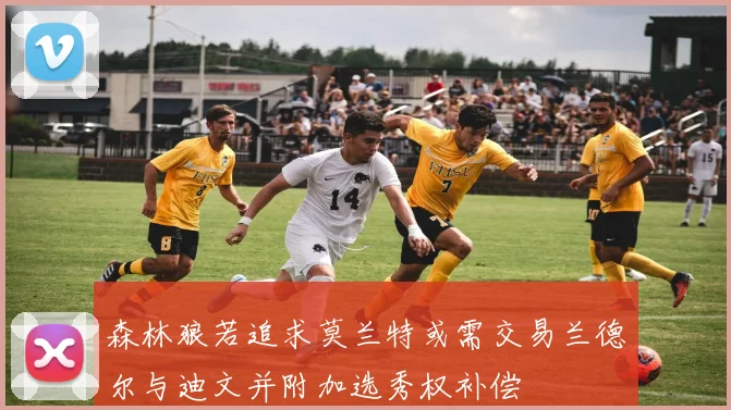森林狼若追求莫兰特或需交易兰德尔与迪文并附加选秀权补偿