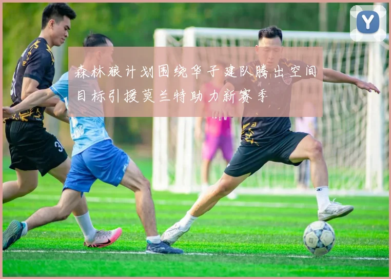 森林狼计划围绕华子建队腾出空间目标引援莫兰特助力新赛季